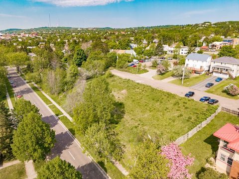 Tiny photo for xxx E 2nd St, Duluth, MN 55812 (MLS # 6117537)