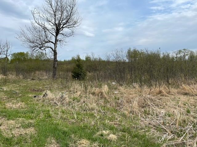 Lot 35 Spartan Circle Dr