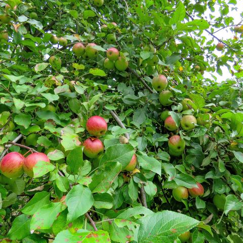 Tiny photo for 1921 W Highway 61, Grand Marais, MN 55604 (MLS # 6122149)