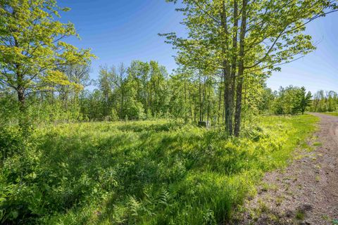 Tiny photo for XXXX Rycor Lane, Duluth, MN 55811 (MLS # 6118149)