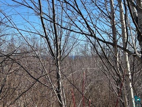 Tiny photo for 3 Boulder Point Rd, Lutsen, MN 55612 (MLS # 6119217)