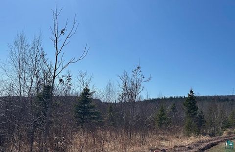 Tiny photo for 3 Boulder Point Rd, Lutsen, MN 55612 (MLS # 6119217)