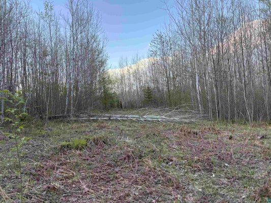 0000 MERTIG RD, GLIDDEN, WI 54527 - Image c19a4579cf111e31c74fef14c8370924/1974537365