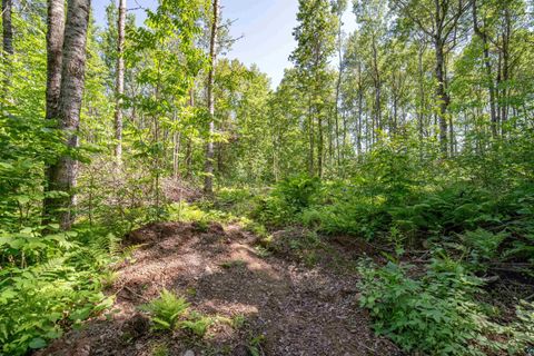 Tiny photo for 51705178 Hermantown Rd, Hermantown, MN 55811 (MLS # 6120420)