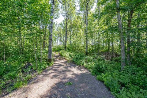 Photo of 51705178 Hermantown Rd, Hermantown, MN 55811 (MLS # 6120420)
