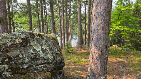 Tiny photo for 1182 Bessette Rd, Orr, MN 55771 (MLS # 6119775)