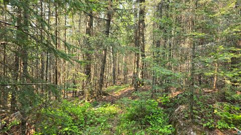 Tiny photo for 1182 Bessette Rd, Orr, MN 55771 (MLS # 6119775)