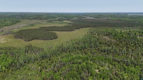 Tiny photo for 1182 Bessette Rd, Orr, MN 55771 (MLS # 6119775)