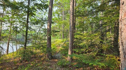 Tiny photo for 1182 Bessette Rd, Orr, MN 55771 (MLS # 6119775)