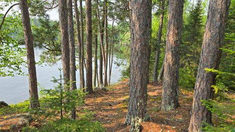 Tiny photo for 1182 Bessette Rd, Orr, MN 55771 (MLS # 6119775)