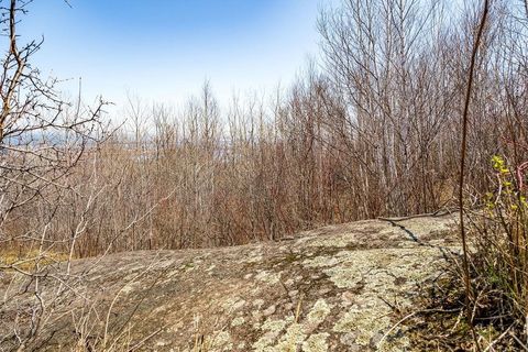 Tiny photo for 29 W 15th St, Duluth, MN 55807 (MLS # 6120785)