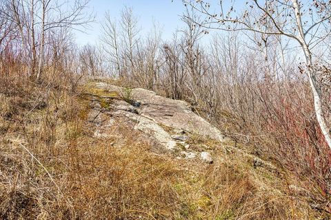 Tiny photo for 29 W 15th St, Duluth, MN 55807 (MLS # 6120785)