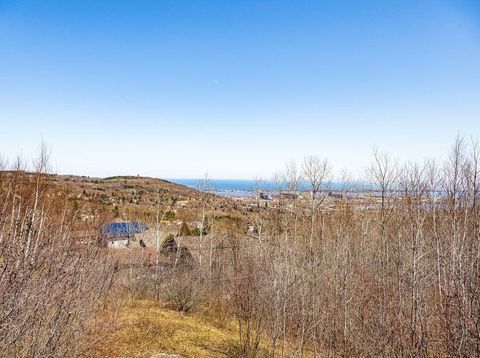 Tiny photo for 29 W 15th St, Duluth, MN 55807 (MLS # 6120785)