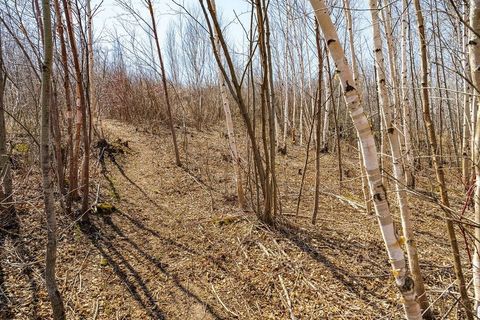 Tiny photo for 29 W 15th St, Duluth, MN 55807 (MLS # 6120785)