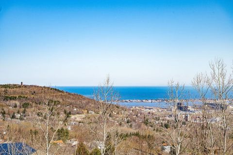 Tiny photo for 29 W 15th St, Duluth, MN 55807 (MLS # 6120785)