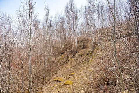 Tiny photo for 29 W 15th St, Duluth, MN 55807 (MLS # 6120785)