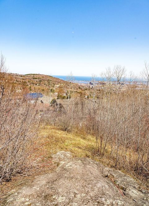 Tiny photo for 29 W 15th St, Duluth, MN 55807 (MLS # 6120785)