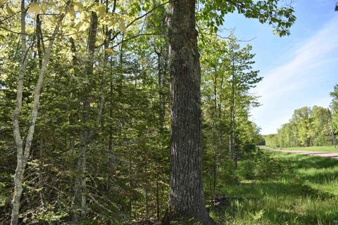 60XXX Andrew Anderson Rd Mason WI 54856