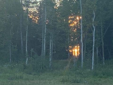 Tiny photo for 10943 Hwy 23, Orr, MN 55771 (MLS # 6122022)