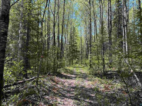 Tiny photo for 1068 Kelly Trail, Isabella, MN 55607 (MLS # 6119162)