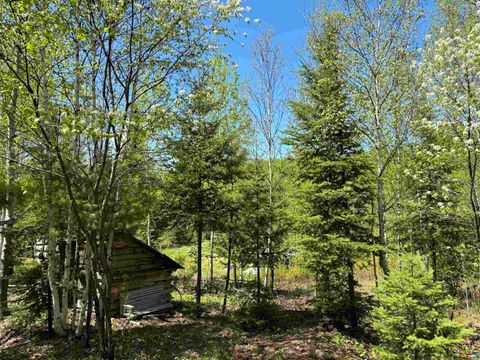Tiny photo for 1068 Kelly Trail, Isabella, MN 55607 (MLS # 6119162)
