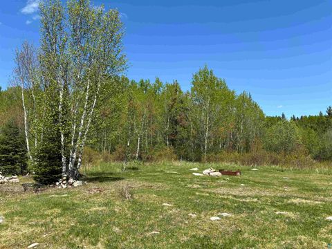 Tiny photo for 1068 Kelly Trail, Isabella, MN 55607 (MLS # 6119162)