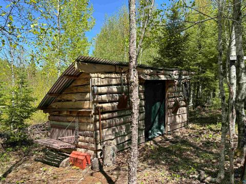 Tiny photo for 1068 Kelly Trail, Isabella, MN 55607 (MLS # 6119162)