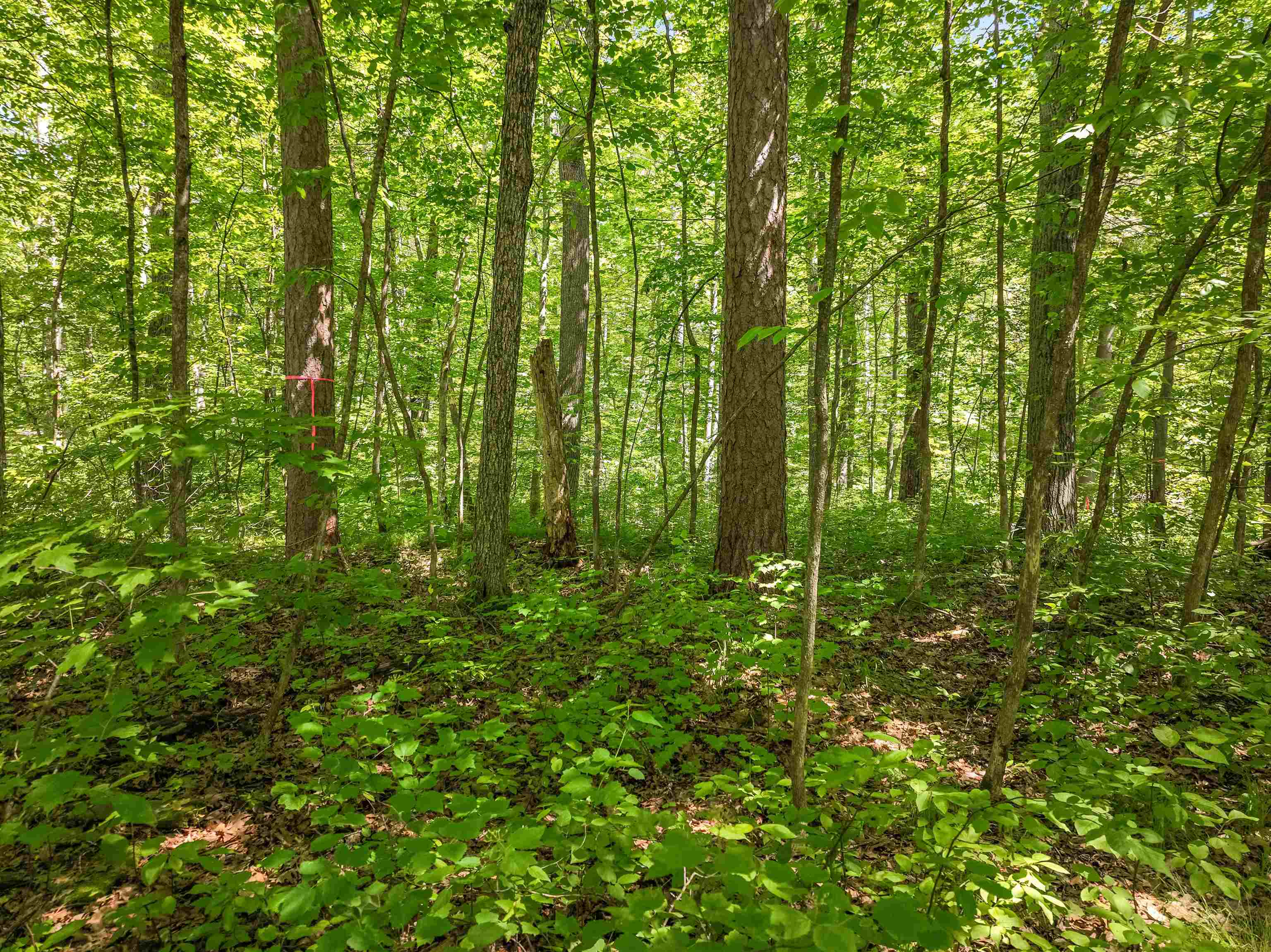 Lot 2 Thoroughfare Ln