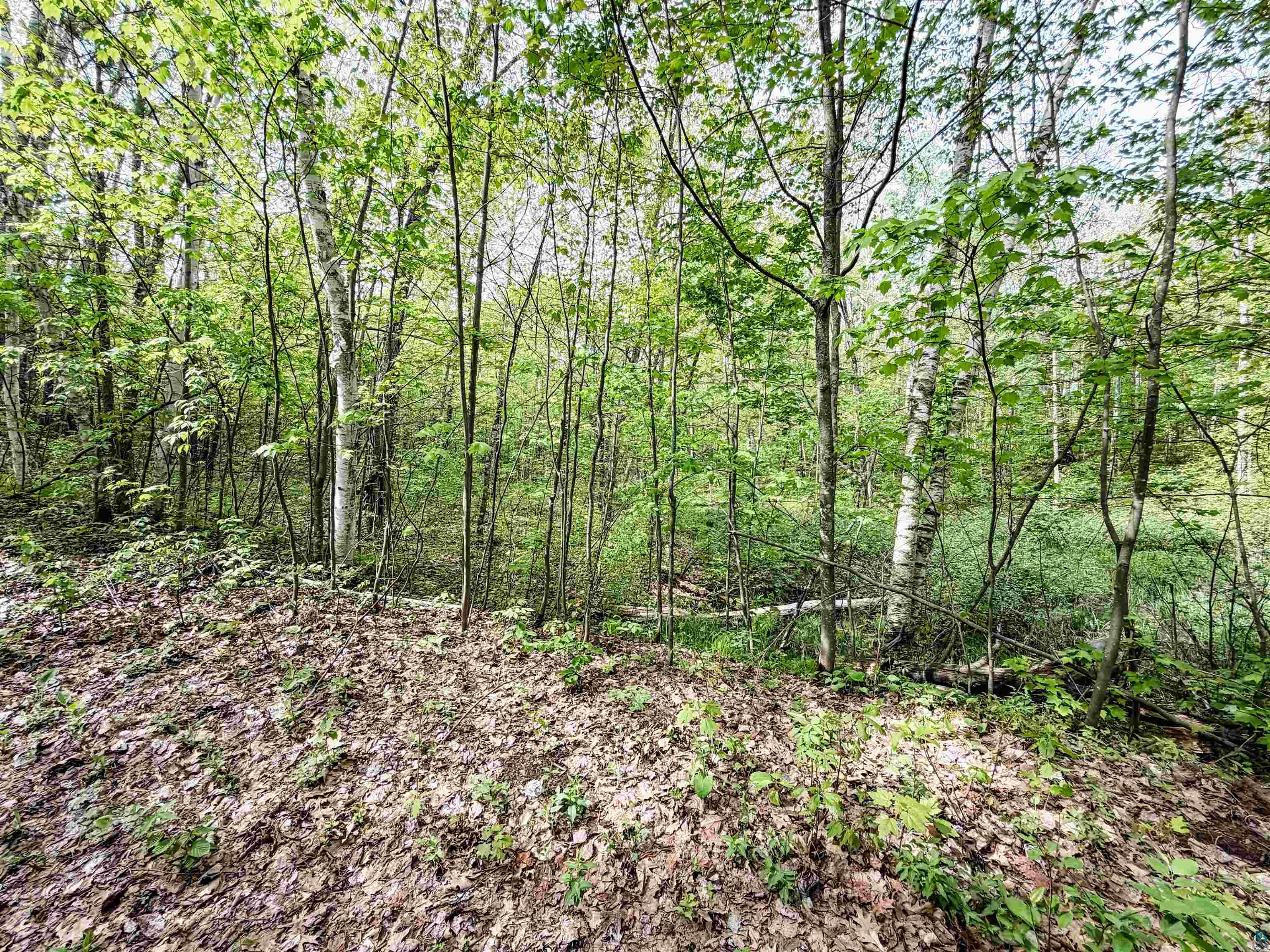 Lot 2 Peterson Rd