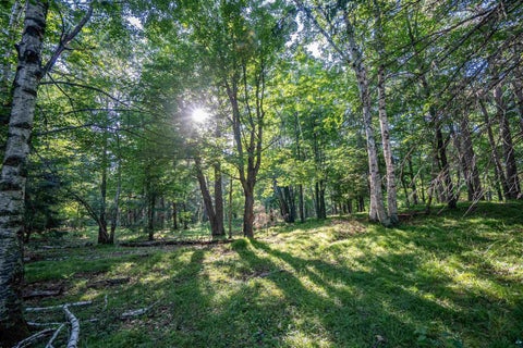 Tiny photo for 2182 County Rd 4, Carlton, MN 55718 (MLS # 6127085)