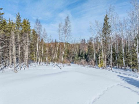 Tiny photo for XXX N Hwy 21, Babbitt, MN 55706 (MLS # 6123825)