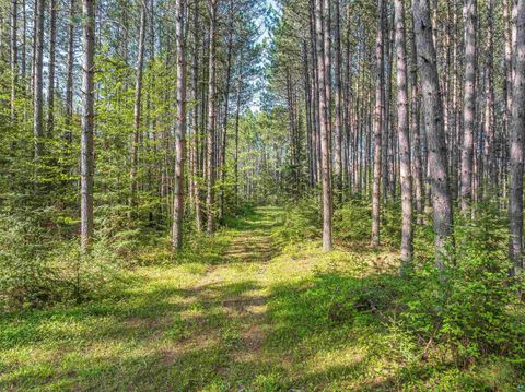 Tiny photo for 2685 Elliots Lake Rd, Eveleth, MN 55734 (MLS # 6125632)