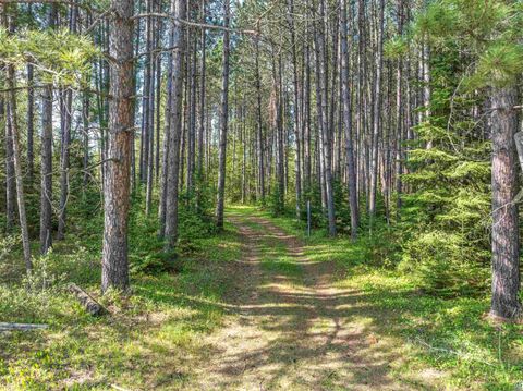 Tiny photo for 2685 Elliots Lake Rd, Eveleth, MN 55734 (MLS # 6125632)