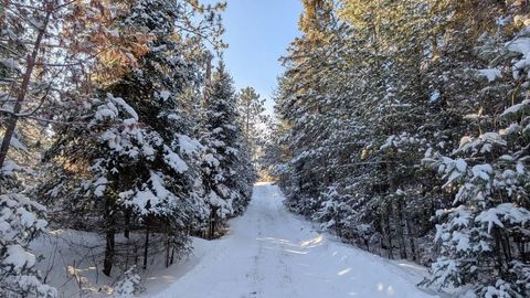 Tiny photo for 8442 Highway 24, Cook, MN 55723 (MLS # 6123381)