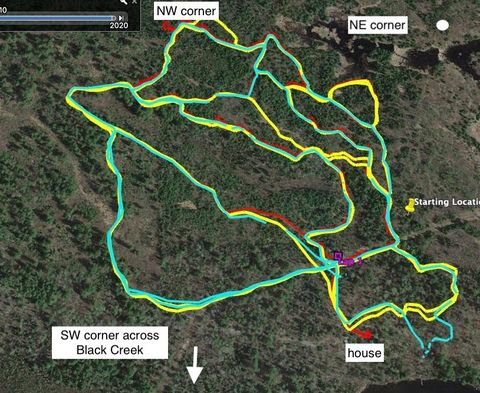 Tiny photo for 8442 Highway 24, Cook, MN 55723 (MLS # 6123381)