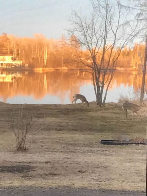 Tiny photo for 4728 Dow Rd, Saginaw, MN 55779 (MLS # 6122361)