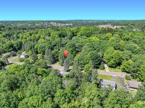 Tiny photo for 1319 Brainerd Ave, Duluth, MN 55811 (MLS # 6126780)