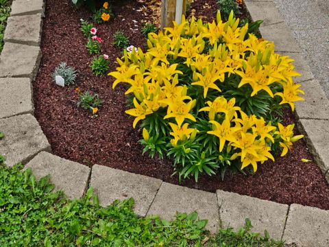 Tiny photo for 3947 Haines Rd, Hermantown, MN 55811 (MLS # 6122988)