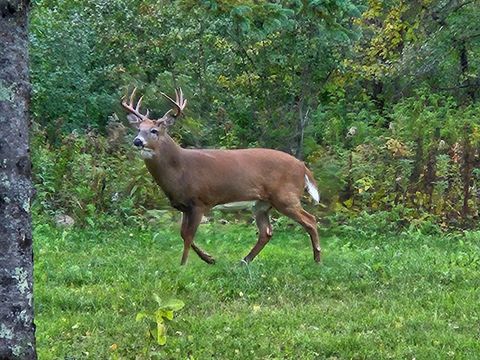 Tiny photo for 3947 Haines Rd, Hermantown, MN 55811 (MLS # 6122988)