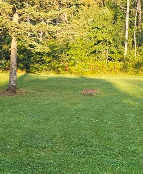 Tiny photo for 3947 Haines Rd, Hermantown, MN 55811 (MLS # 6122988)