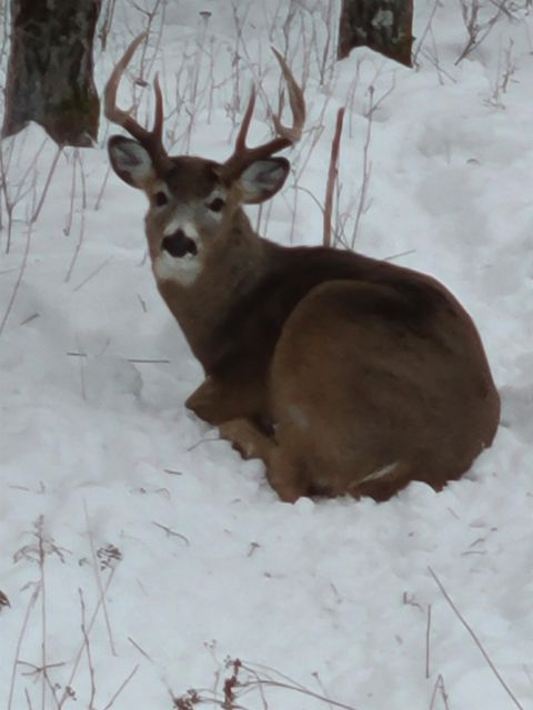 Tiny photo for 3947 Haines Rd, Hermantown, MN 55811 (MLS # 6122988)