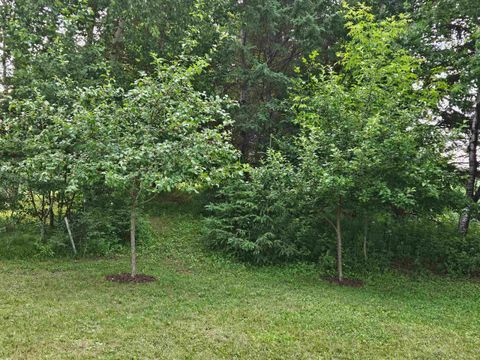 Tiny photo for 3947 Haines Rd, Hermantown, MN 55811 (MLS # 6122988)