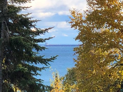 Tiny photo for 4635 Highway 61 E, Hovland, MN 55606 (MLS # 6125871)