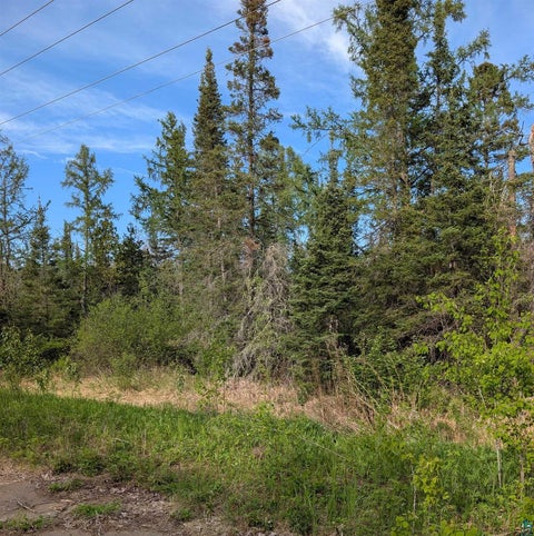 Tiny photo for XXXX Rice Lake Rd, Duluth, MN 55803 (MLS # 6125681)