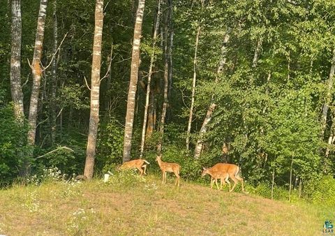 Tiny photo for 4528 Solway Rd, Hermantown, MN 55811 (MLS # 6124523)