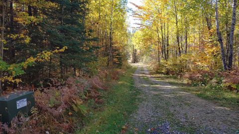 Tiny photo for 11521 Aspen Way, Orr, MN 55771 (MLS # 6124448)