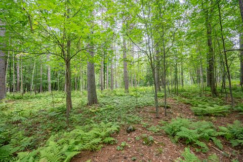Tiny photo for 51 Lindahl Rd, Duluth, MN 55811 (MLS # 6120486)