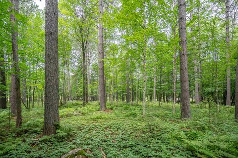 Tiny photo for 51 Lindahl Rd, Duluth, MN 55811 (MLS # 6120486)