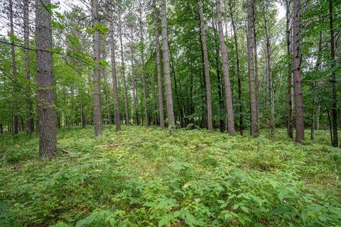 Tiny photo for 51 Lindahl Rd, Duluth, MN 55811 (MLS # 6120486)