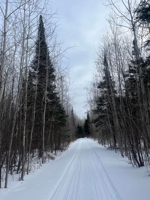 Tiny photo for 2497 Nester Grade Rd, Two Harbors, MN 55616 (MLS # 6123261)